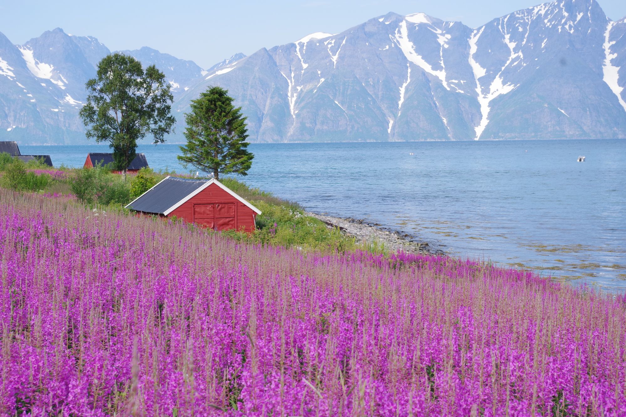 Giorno 9: Sørkjosen – Bjerkvik (Tromsø)
