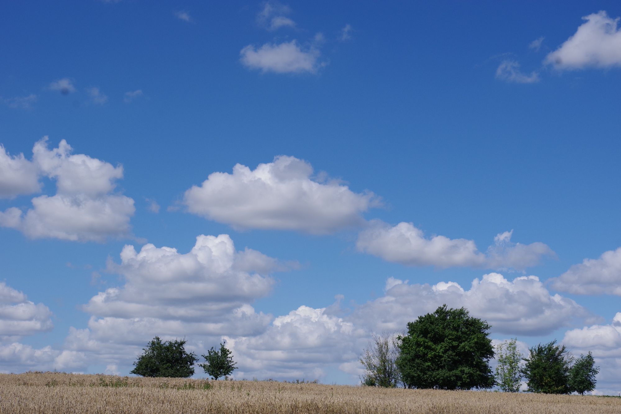 Giorno 17: Włocławek – Neunkirchen