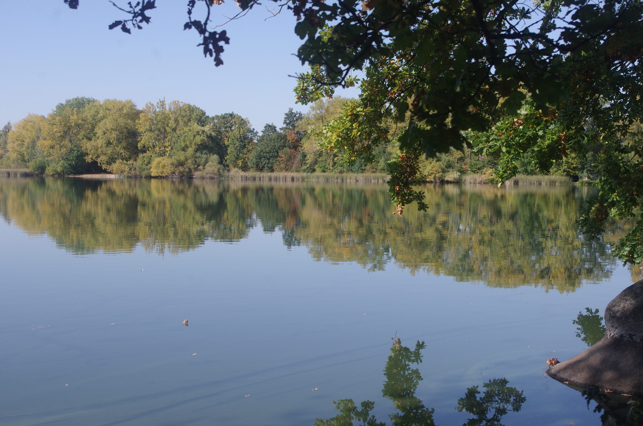 Giorno 8: Teplice – Reischach