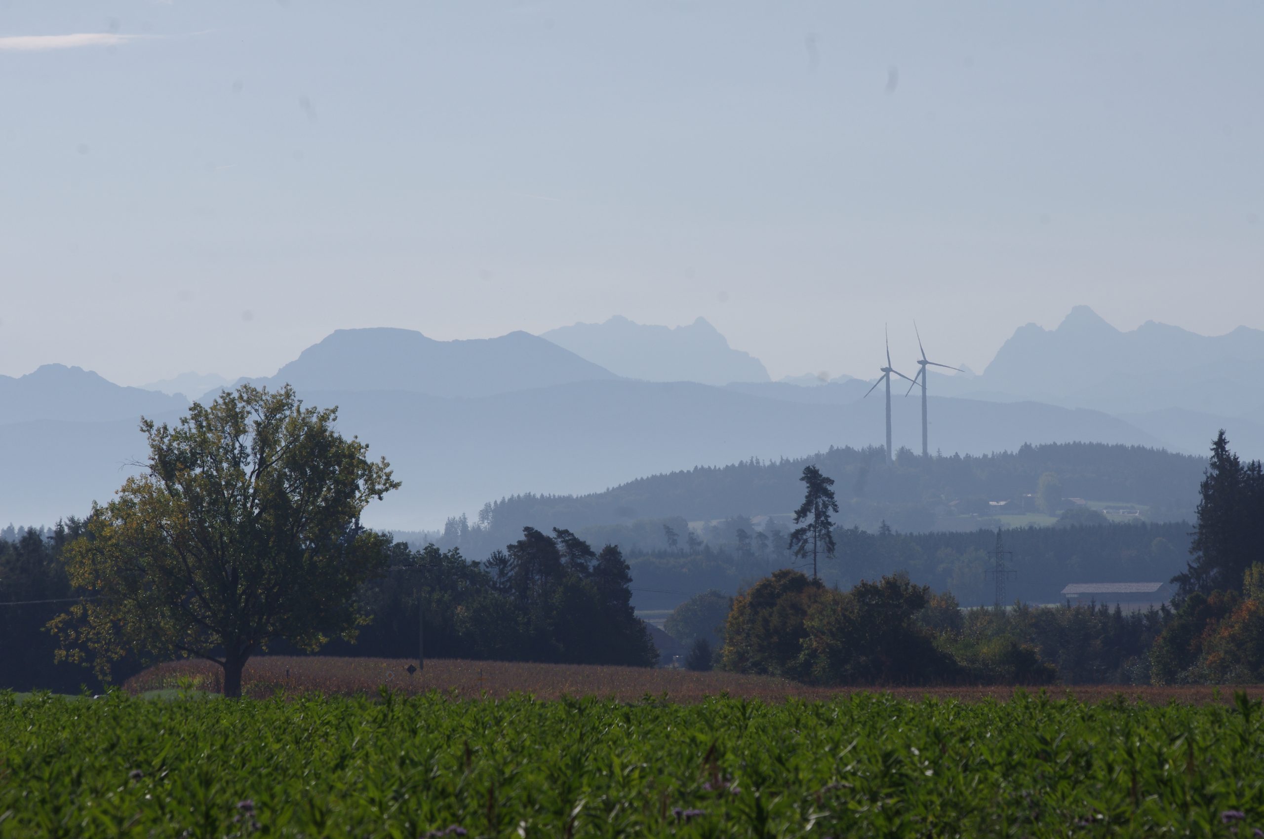 Giorno 9: Reischach – Udine